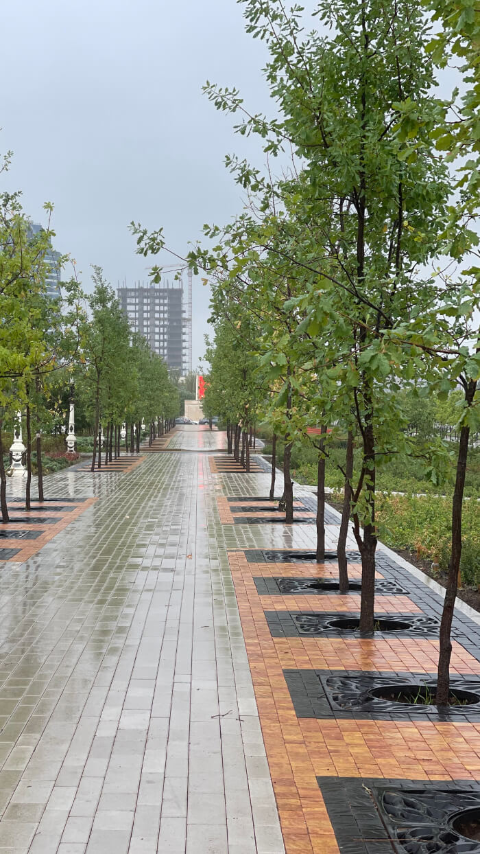 Приствольная решетка для дерева ZKING CRUST 1.2х1.2м Черная в Мариуполе фото